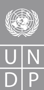 UNDP logo BW